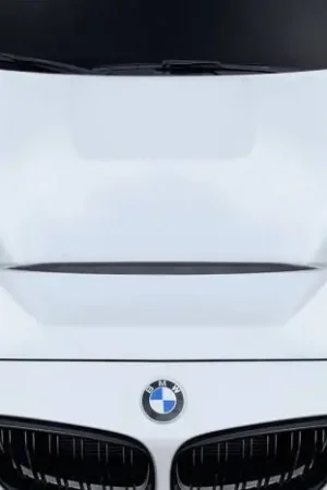 One Day Deal BMW 2 Series GTS Look Duraflex Body Kit- Hood 117611