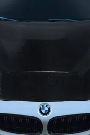 BMW M3/M4 GTS Look Carbon Fiber Creations Body Kit- Hood 117616 Genuine