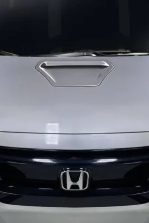 Professional Grade Honda Civic Type R Look Duraflex Body Kit- Hood 117164