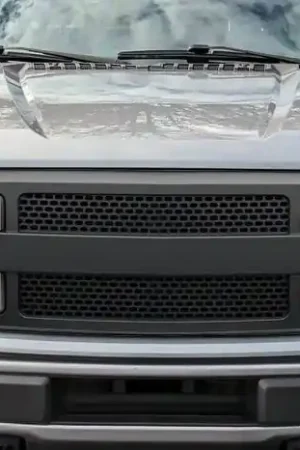Express Delivery Ford F150 Rocky Duraflex Grill/Grille 117194