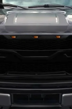 No Minimum Order Ford F150 Rage Duraflex Grill/Grille 117196