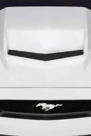 Handmade Ford Mustang Incerceptor Duraflex Body Kit- Hood 117988