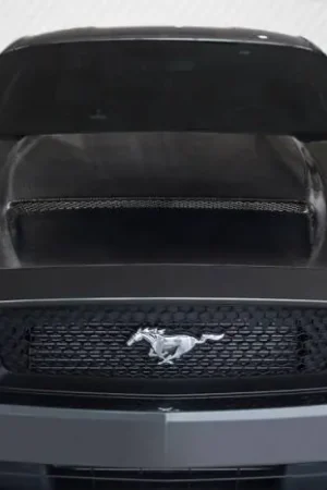 New Arrival Ford Mustang CVX V2 Carbon Fiber Body Kit- Hood 113413