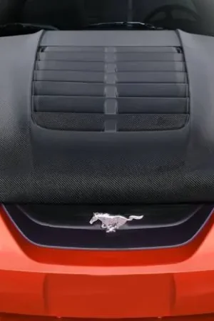 Discount Ford Mustang GT500 V2 Carbon Fiber Body Kit- Hood 115192