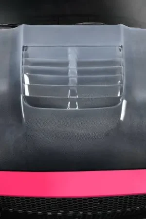 Factory Price Ford Mustang GT500 V2 Carbon Fiber Body Kit- Hood 115202