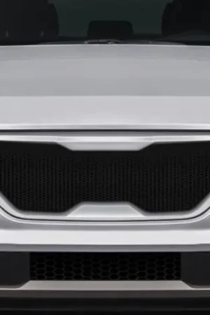 Hyundai Tucson Rising Duraflex Grill/Grille 118871 One Day Deal