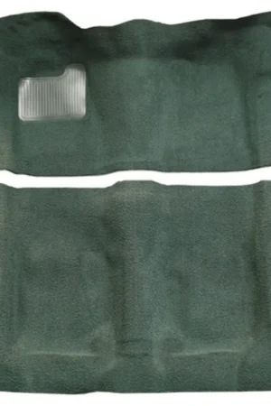 Carpet for 1973 Buick Century 2DR Auto Loop In Demand