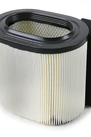 Fan Favorite aFe ProGuard OE Replacement Air Filter 17-19 Ford Diesel Trucks 6.7L (td)