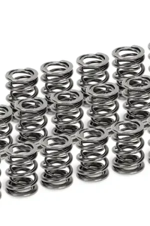 Hot Picks Supertech Honda H22A1/H22A4 Dual Valve Spring - Set of 16