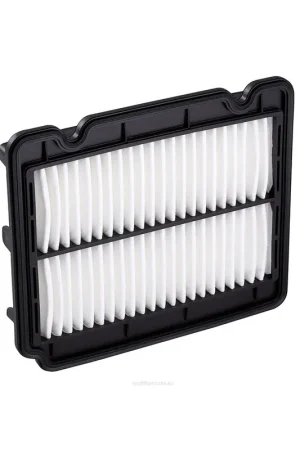 Ryco Air FilterA1521 Express Delivery