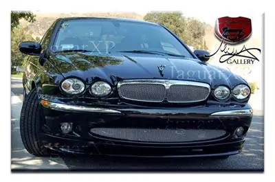 Fast Shipping X Type Stainless Lower Mesh Grille