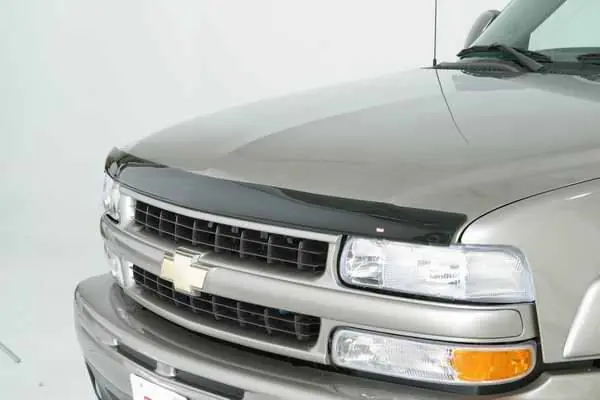 Express Delivery Wade Smoke Hoodguard Bug Deflector - 65366