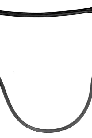 Buy Today FC-D3059 - Door Seal - Rear Right