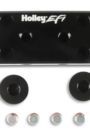 Clearance Holley EFI Vacuum Manifold The Vacuum Manifold is an excellent vacuum or boost reference source.