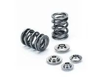 Supertech Nissan SR20VE DOHC Dual Valve Spring Kit (Increase Net Lift Machine Inner Spring Boss) Deal