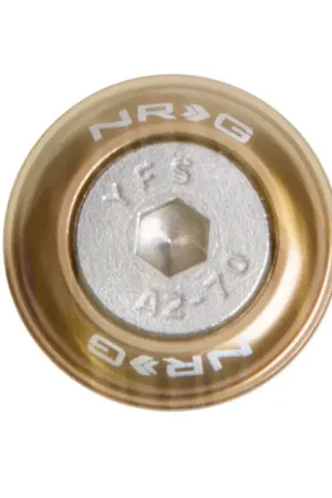 Direct From Manufacturer NRG NRG Fender Washer Kit w/Rivets For Metal (Titanium) - Set of 10