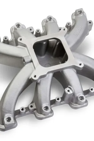Budget Holley EFI Single Plane EFI Intake - GM LS1/LS2/LS6