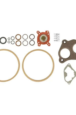 Same Day Shipping Holley EFI Throttle Body Injection Renew Kit Renew Kit for 2 bbl Replacement TBIs PN's 502-4,502-5,502-6,502-7,502-8, 502-9